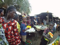 /album/guinea-bissau/file0191-jpg/